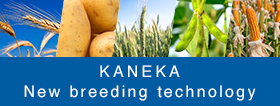 KANEKA New breeding technology