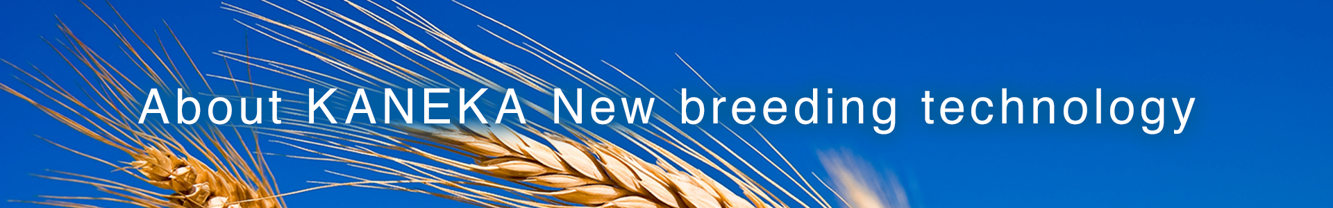KANEKA New breeding technology. Taking agriculture beyond current limits to a whole new level.