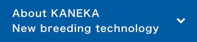 About KANEKA New breeding technology