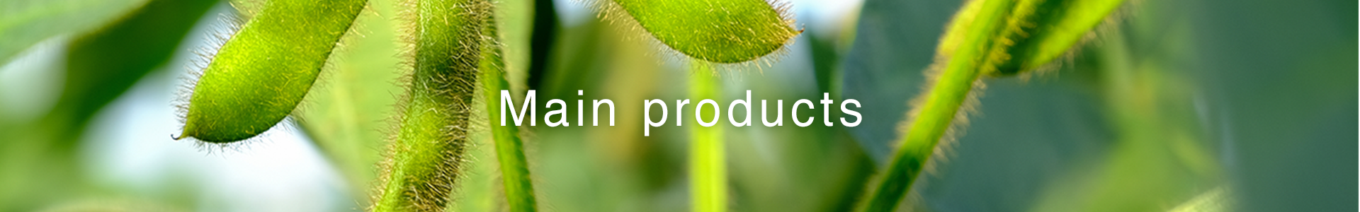 Main products