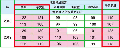 収量および収量構成要素の調査結果の例（2018 - 2019）