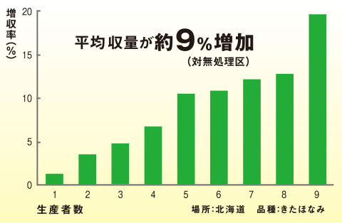 生産者 圃場栽培試験結果（2020年）